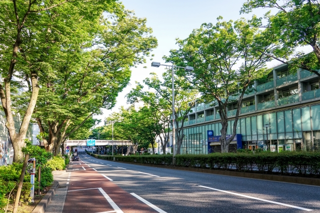 表参道・青山で輝くパーソナルデザインで見つける「あなただけのハイセンス」な日常着