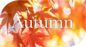4color_autumn